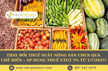 Thay đổi thuế suất nông sản chưa qua chế biến – Áp dụng thuế GTGT 5% từ 1/7/2025?